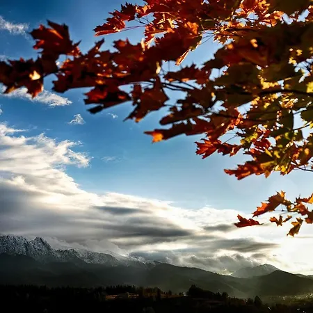 Goscinne U Wojciakow Zakopane