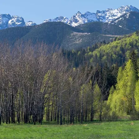 Homestay Goscinne U Wojciakow Zakopane