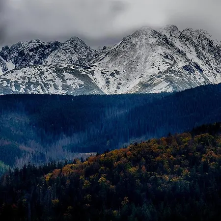 Homestay Goscinne U Wojciakow Zakopane